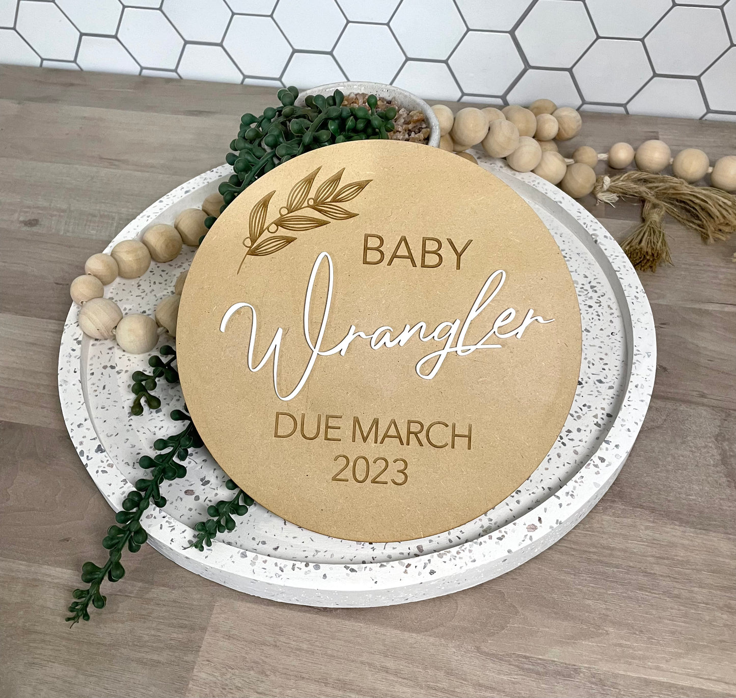 Pregnancy Announcement Disc